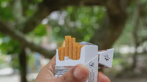 Algérie : vers une forte hausse des prix du tabac et de l’alcool en 2027