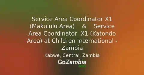 Children International Zambia Seeks Service Area Coordinators for Kabwe Expansion