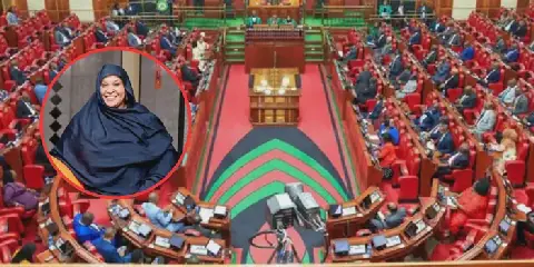 Parliament Confirms Fatuma Ibrahim Ali as Female Non‑Member PSC Commissioner