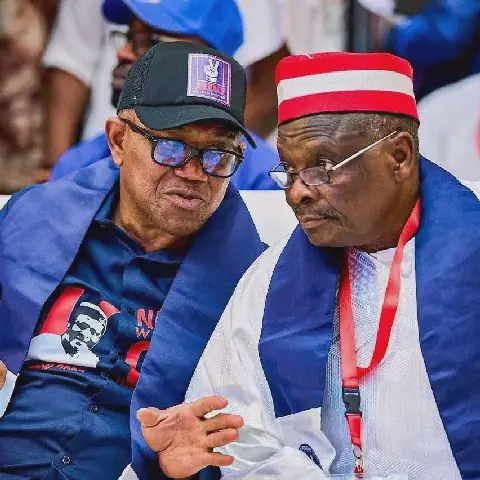 Edo signage agency pulls down Peter Obi, Kwankwaso campaign materials