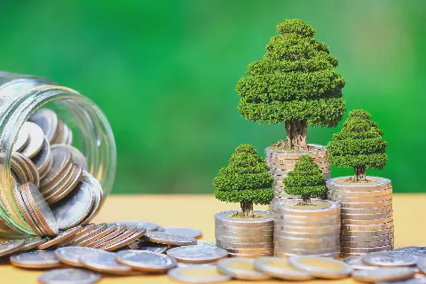 Agroforestry Emerges as Green Investment Path for Tanzania's Youth