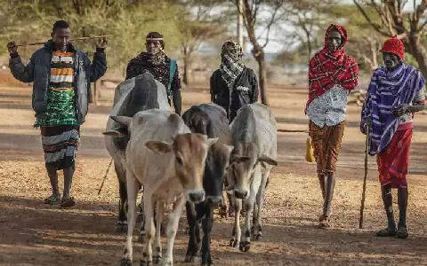 Hearing of Samburu herders' case to stop wildlife conservancy, investor land lease ends