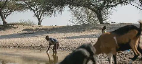 El Niño Intensification Warns of Historic Climate Impacts