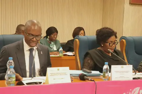 Gabon/Loi de règlement 2025 : le ministre Thierry Minko dresse un bilan contrasté face aux députés