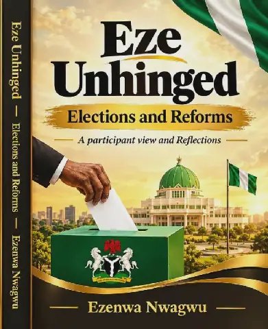 Review: 'Eze Unhinged' Challenges Nigeria's Democratic Reform Approach