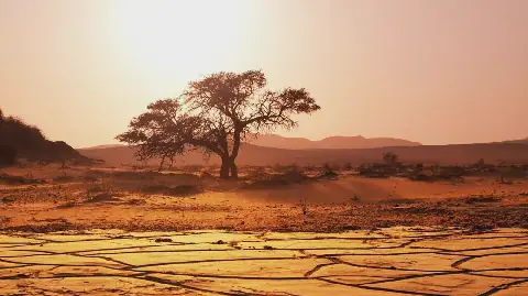 UN Warns of Strongest El Nino Event Since 1950, Expected to Peak in December