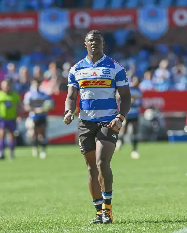 John Dobson backs Warrick Gelant despite Stormers’ big Sharks derby selection call