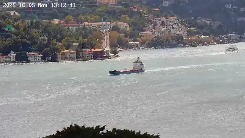Togo-flagged cargo ship sinks in Black Sea, Syria demands investigation