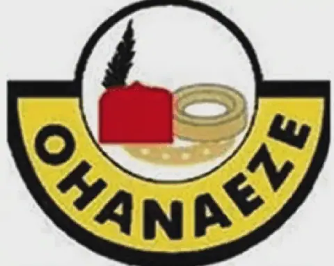 Igbo Leaders Abolish 'Eze Ndigbo' Title, Replace it with 'Onyendu'