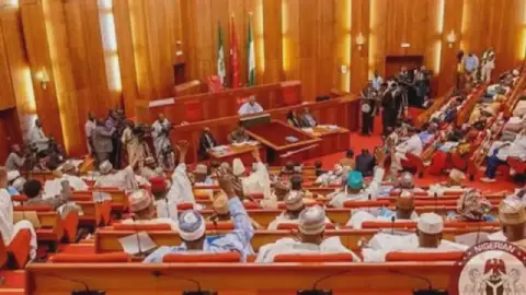 Critics Warn Against Recycling Former Governors into Nigeria's Senate