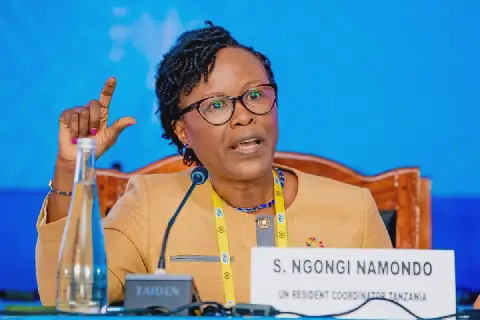 UN urges bigger role for Tanzania Parliament in shaping Dira 2050