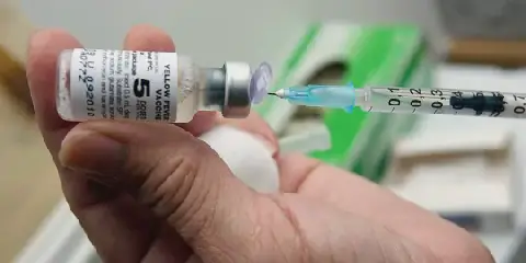 The yellow fever vaccine. Photo credit: PAHO