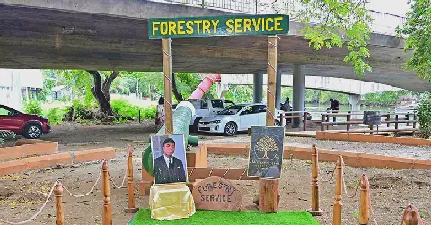 Mauritius: Community Comes Together to Honor Angelo Sossou with Tree Planting Initiative