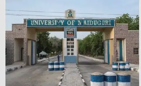 The rise of student entrepreneurs in Unimaid