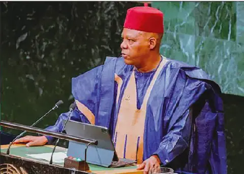 Nigeria Pushes for Africa's Permanent Representation on UN Security Council