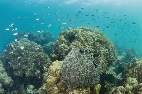 Entrepreneurs seek support to turn marine resources into jobs