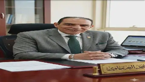 Simplifying Customs Procedures Key to Boosting Egypt-Africa Trade