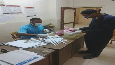 Egyptian Health Ministry Launches Rodent and Disease Vector Control Campaign in Minya