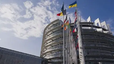 European Parliamentarians Back Decision on Muslim Brotherhood