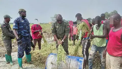 Burkina Faso: Over 1,000 Tons of Harvest Expected from Prison Farms
