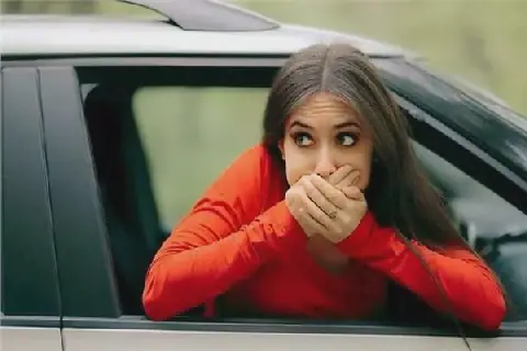 Factors Contributing to Motion Sickness in Electric Vehicles