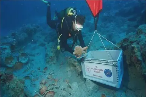 Ancient Mediterranean Shipwreck Unveils Secrets of Elite Dining