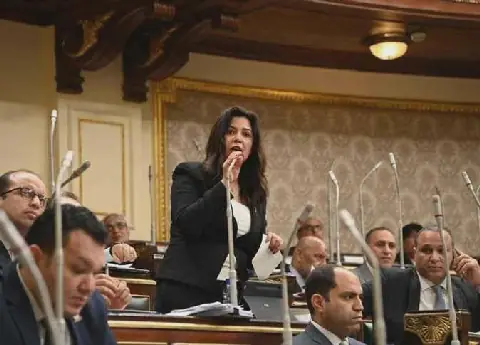 Egyptian Parliament Member Calls for Comprehensive Approach to Address Women's Rights and Societal Awareness