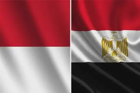 Cairo and Jakarta: A presidential summit to advance a strategic partnership