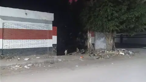 Mysterious Theft of School Gates in Egypt's Rashid Leaves Residents Baffled