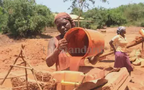 Migori miners challenged to plant trees to help restore degraded land