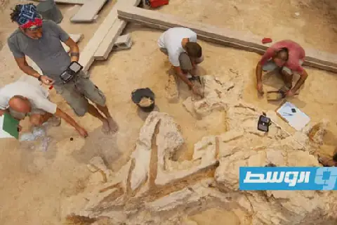 اكتشاف مئات الآثار والأدوات الخشبية للـ«نياندريال» في إسبانيا يبرز براعتهم التقنية