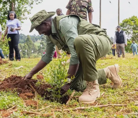 President Ruto leads Mazingira Day celebrations in Trans Nzoia amid deforestation concerns