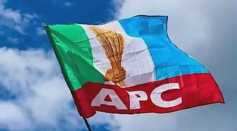 APC Flag