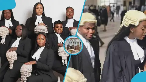 Lawyers
