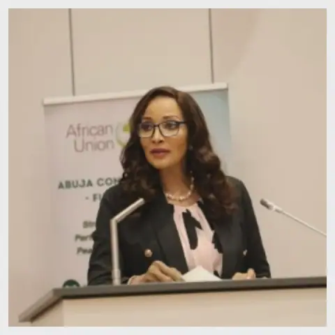 Nigeria calls for overhaul of AU security framework to tackle terrorism