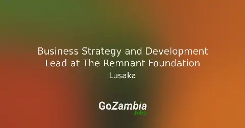 The Remnant Foundation Seeks Business Strategy and Development Lead in Zambia