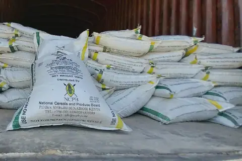 Kenyan Court to Hear Case on Importation of 6 Million Bags of Maize