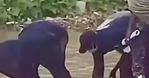 Ngor : un homme d’une trentaine d’années retrouvé mort dans un canal après les fortes pluies image