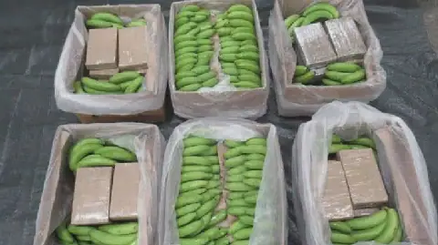 International Cocaine Trafficking Ring Dismantled in Ecuador and Europe