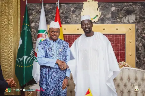 Dr Dansa Kourouma: A Guinean Statesman of Enduring Challenges