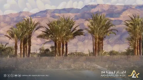 تمور ودان.. ثروة زراعية ليبية تواجه تحديات المناخ وتراهن على التصنيع والتصدير