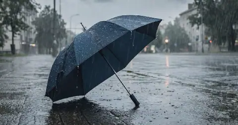 Weather Alert Issued for Several Algerian Regions Due to Heavy Rainfall