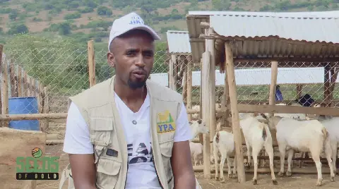 A closer look at YPA's goat farming venture in Uganda