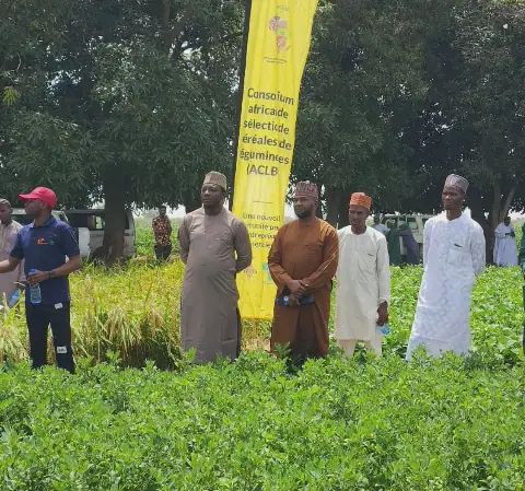 Nigeria's Seed Companies to Test TAAT-Vetted Crop Varieties for Food Security