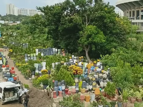Green Transformation Along Senegal's Stade Léopold Sédar Senghor