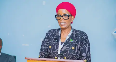 Tanzania-Malawi Health Cooperation Yields Practical Results