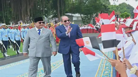 Sisi's Indonesia Visit Opens New Avenues for Egypt Economic Integration