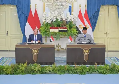 Egypt and Indonesia Strengthen Economic Cooperation and Adhere to International Law