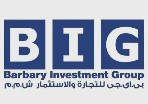 بي.آي.جي للتجارة والاستثمار
