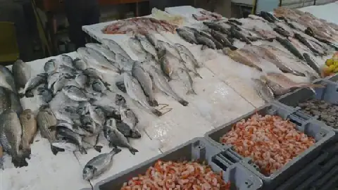 Egypt Fish Prices on Sunday, October 11, 2026